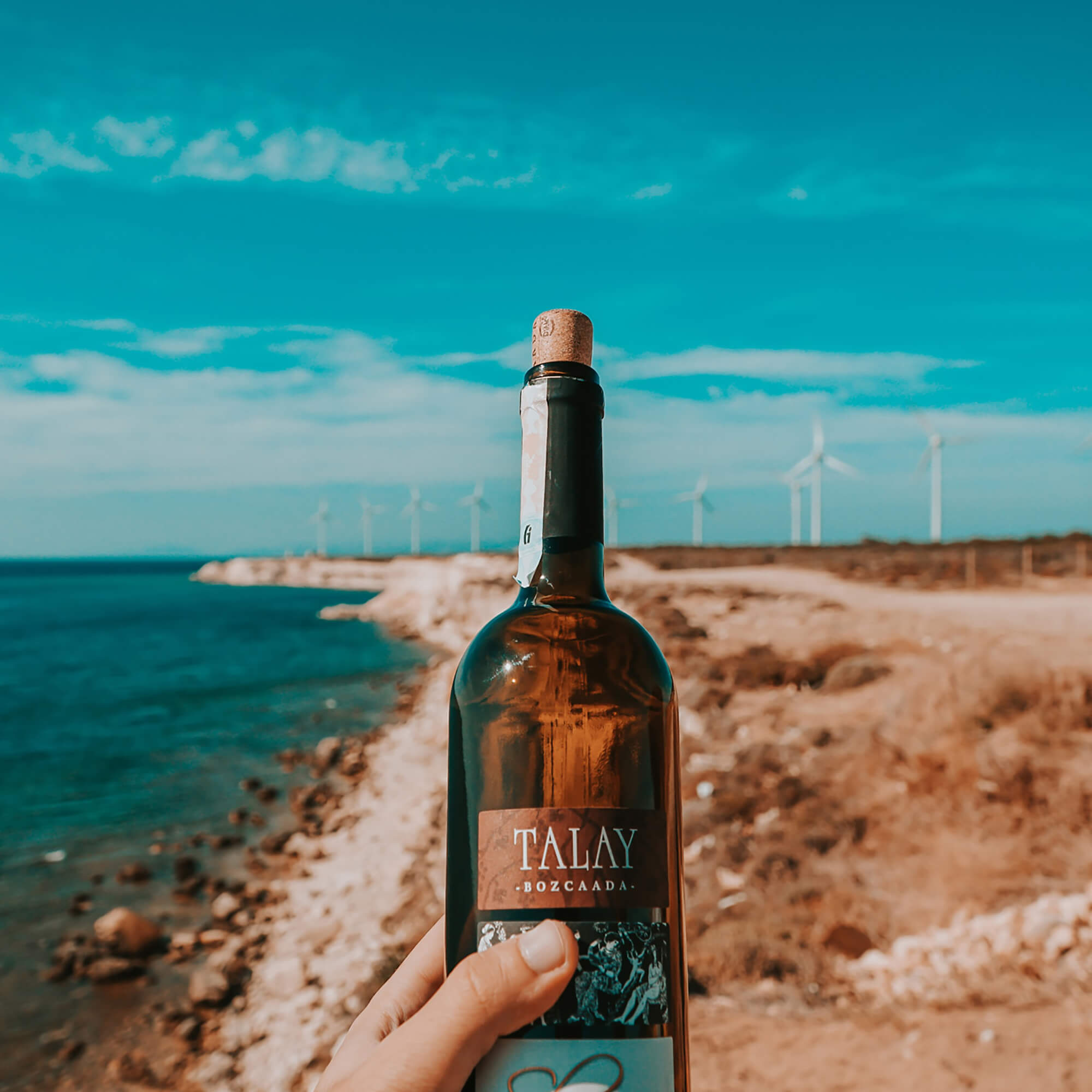 How to sell wine into restaurants effectively?